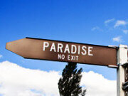 Terugkeren naar Nederland